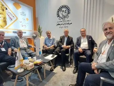 تولید ۱۰ درصد تخم‌مرغ کشور از سوی«تعاونی مرغداران مرکز»