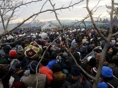 بیش از ۶۰میلیون پناهنده در سال ۲۰۱۵