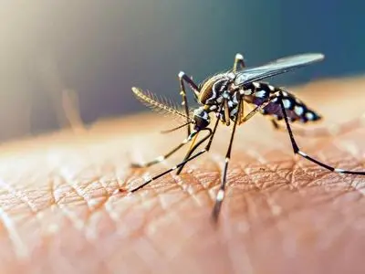 شناسایی دو مورد مثبت تب دنگی در یزد