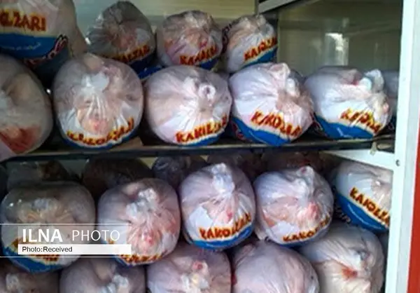 تعدادی از اخلالگران بازار مرغ به مراجع قضایی معرفی شده‌اند / فروشندگان مرغ ملزم به رعایت قیمت مصوب کشوری هستند
