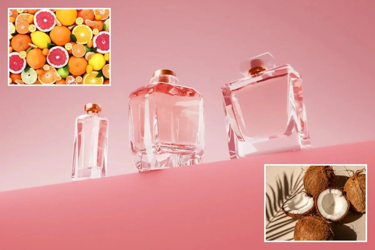 ۸ عطر مناسب تابستان را بشناسید