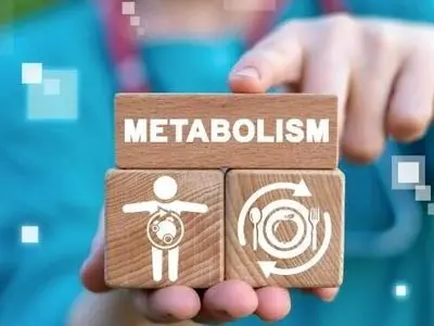 عوامل اثرگذار بر سوخت‌وساز بدن