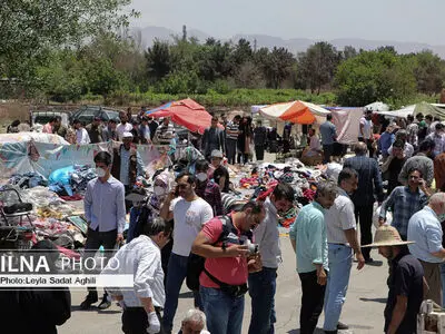 آشوب خلازیل در روزهای کرونایی