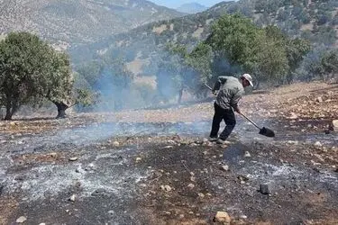 آتش سوزی در منطقه حفاظت شده هلن پس از ۳۶ ساعت مهار شد
