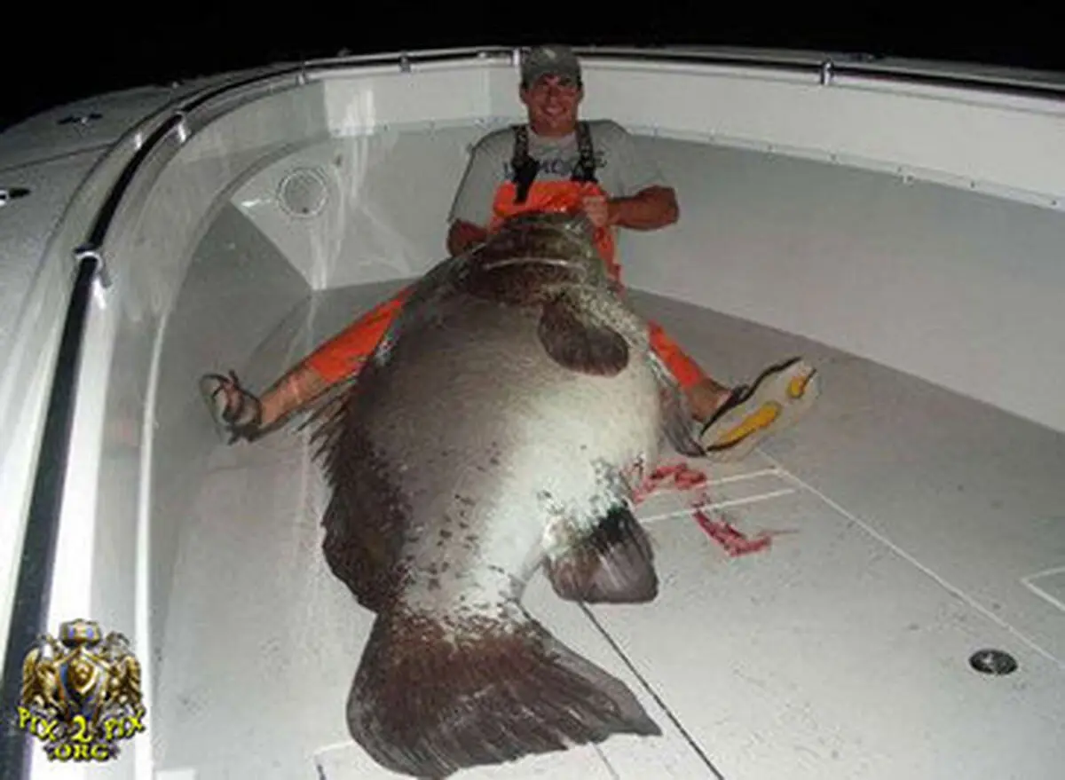 تصاویری از عجیب و غریب ترین ماهیهای صید شده 