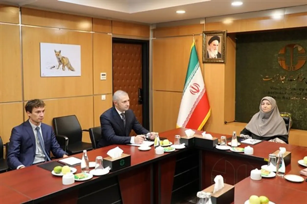 نشست معاون رئیس جمهور با دبیر اجرایی موقت کنوانسیون تهران