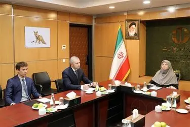 نشست معاون رئیس جمهور با دبیر اجرایی موقت کنوانسیون تهران