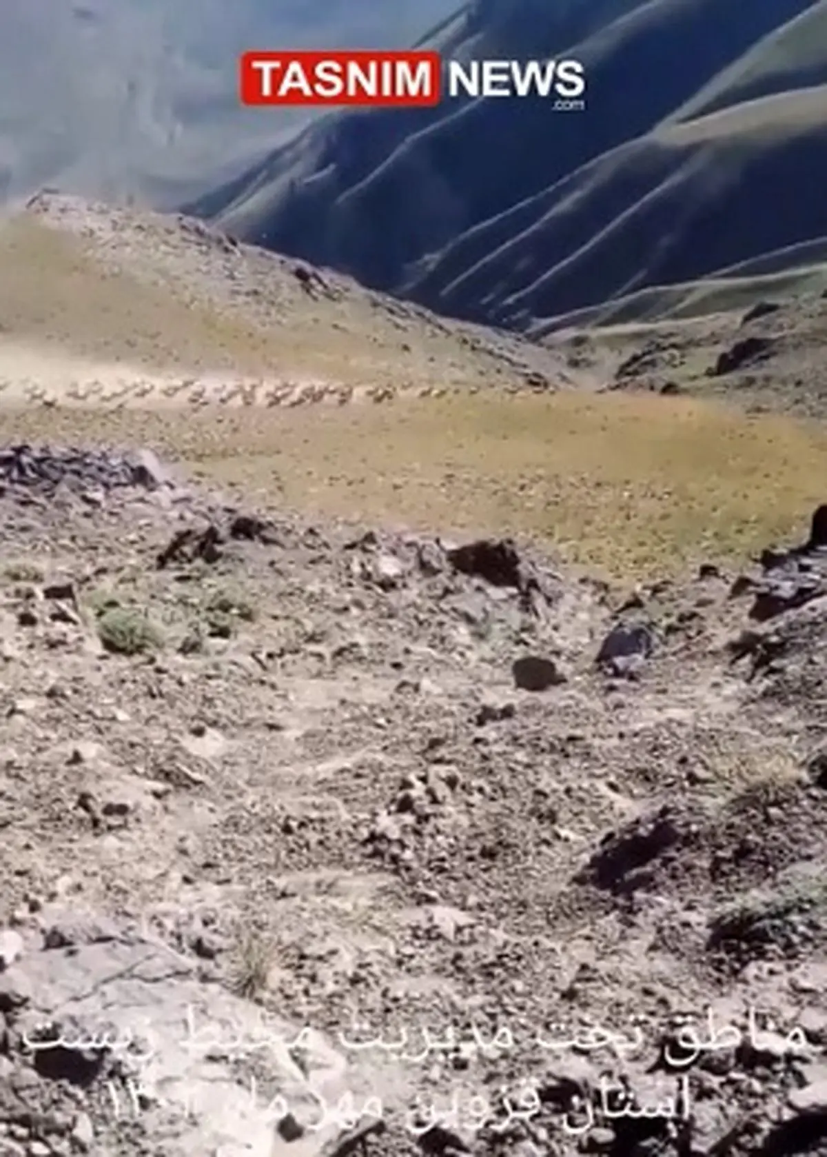 مشاهده گله بز وحشی در مناطق حفاظت‌شده قزوین + فیلم