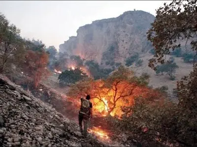 از ابتدای سال جاری ۳۲ مورد آتش سوزی در مناطق جنگلی استان گزارش شده است