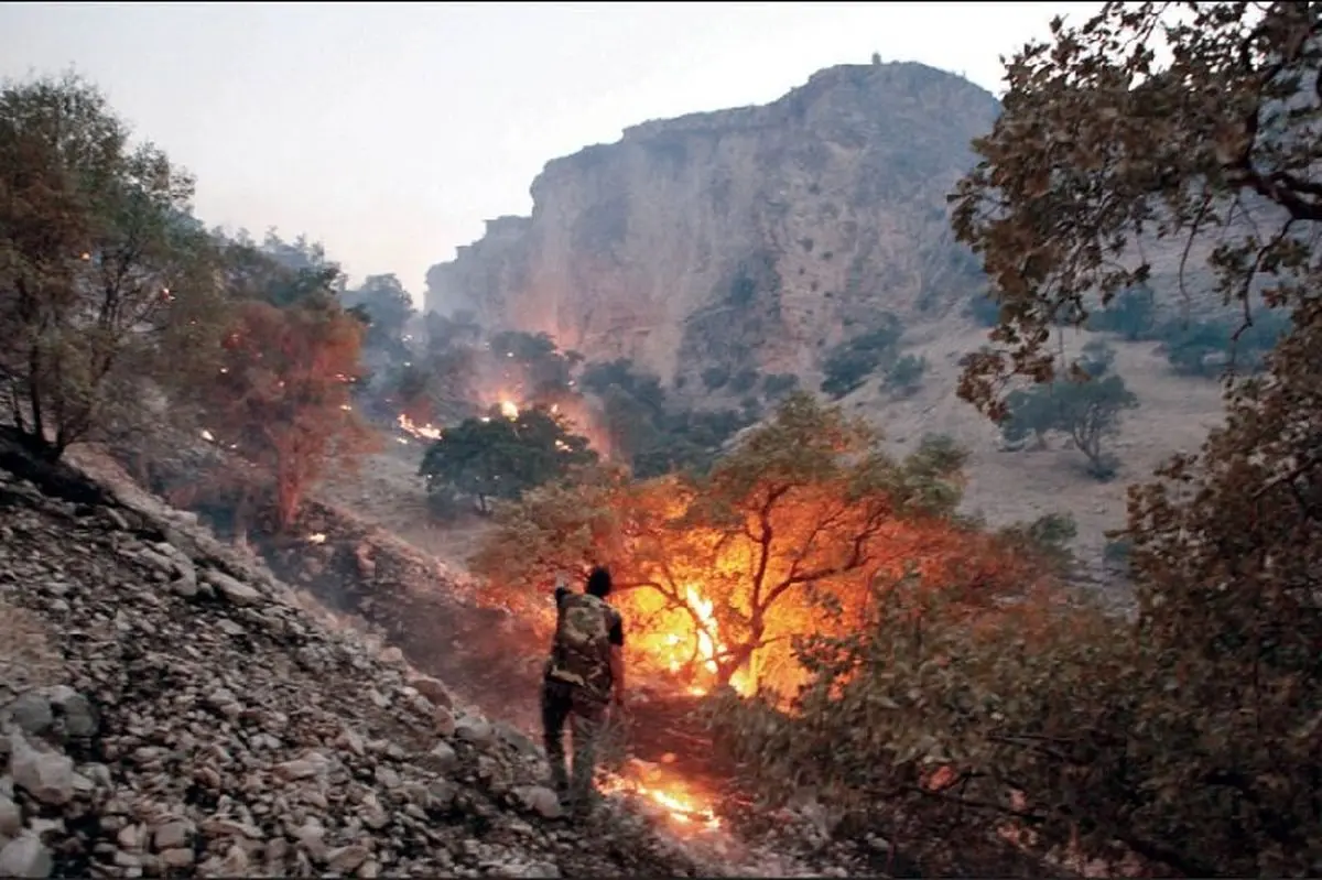 از ابتدای سال جاری ۳۲ مورد آتش سوزی در مناطق جنگلی استان گزارش شده است