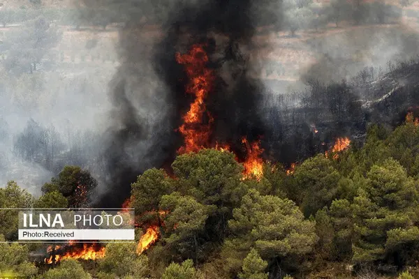 آتش در جنگل‌های هیرکانی همچنان شعله‌ور است