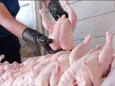 عرضه مرغ بالاتر از قیمت مصوب ممنوع