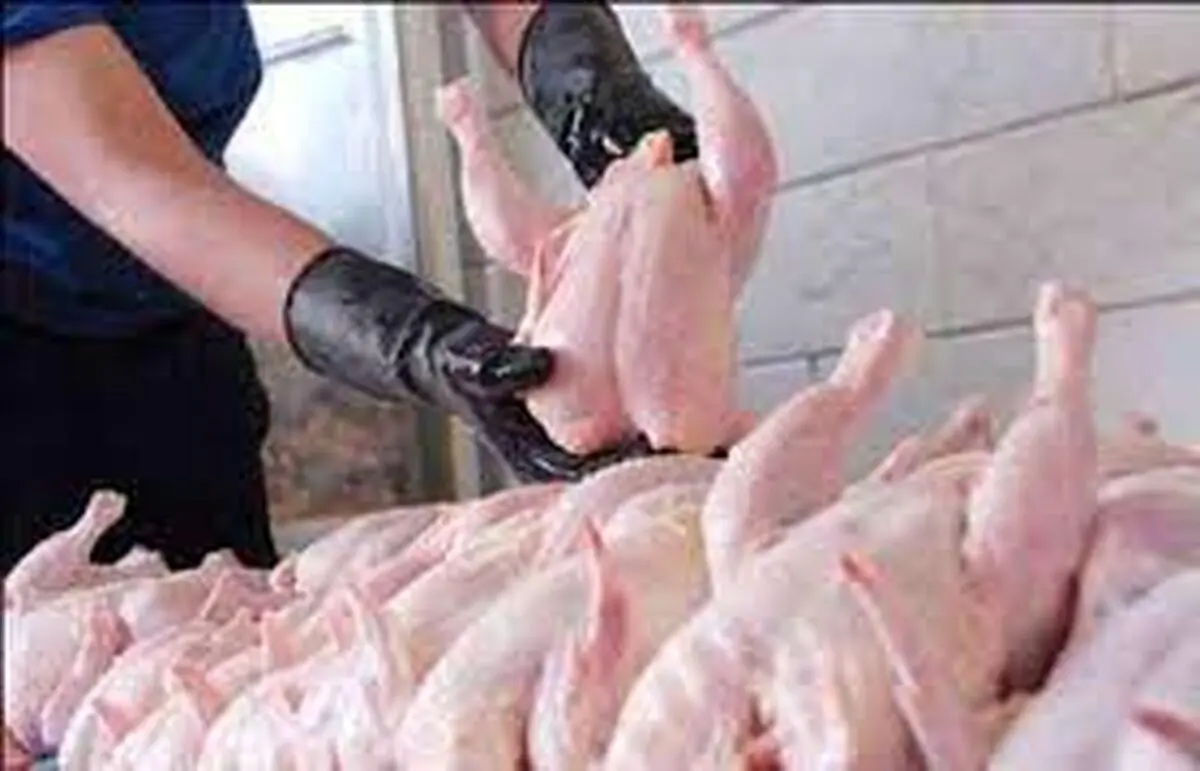 عرضه مرغ بالاتر از قیمت مصوب ممنوع