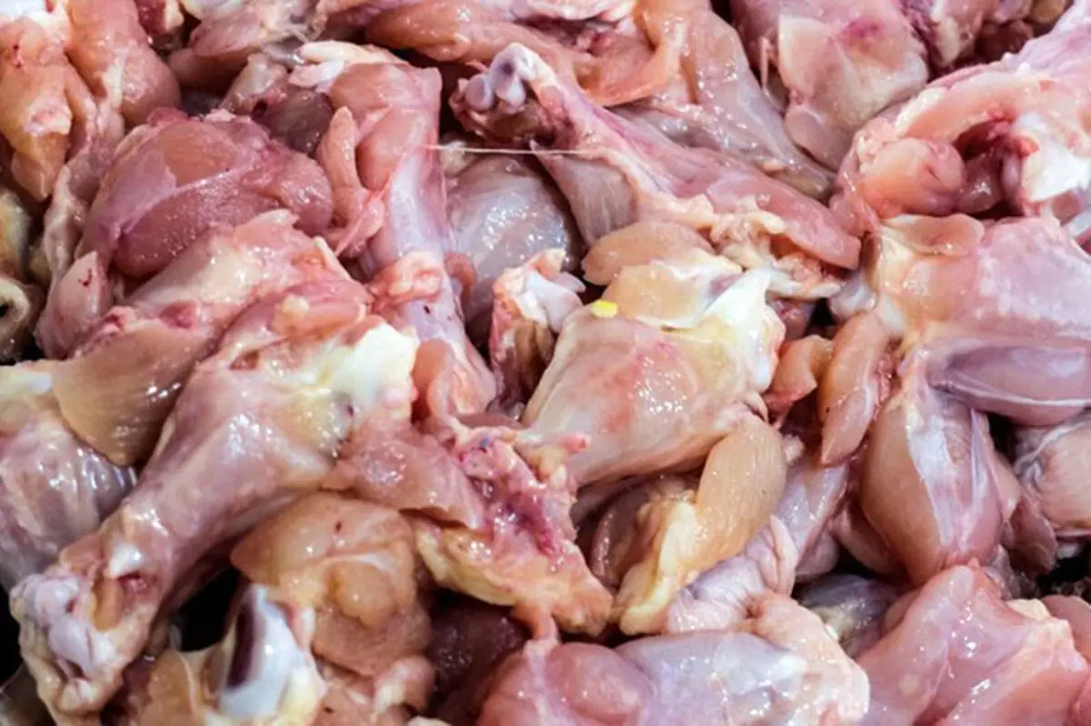 دلالان و سوداگران عامل گرانی گوشت در بازار / مشکلی در تامین گوشت قرمز و مرغ در شب عید نداریم