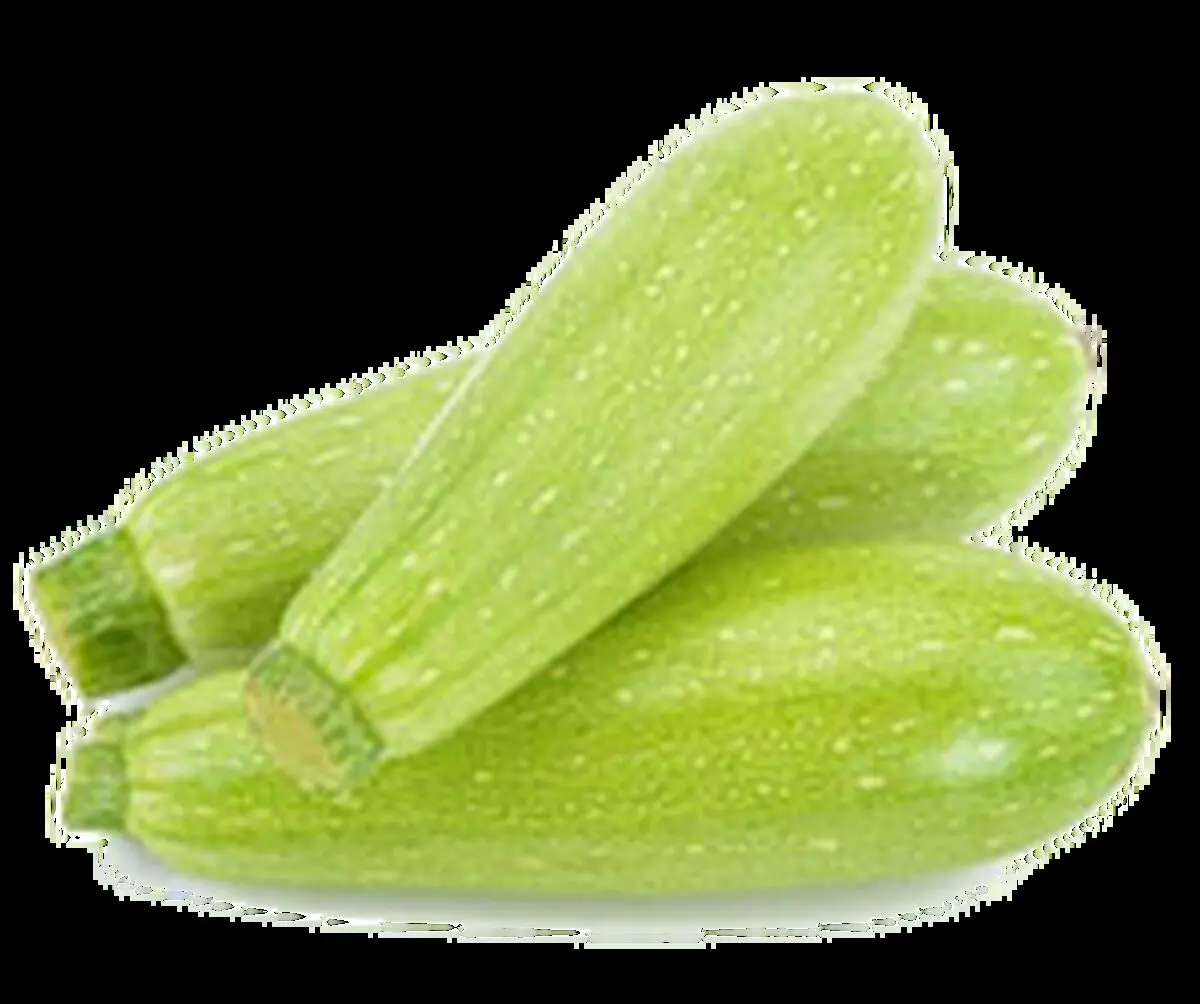 جلوگیری و کنترل بیماری ام اس با خوردن کدو سبز