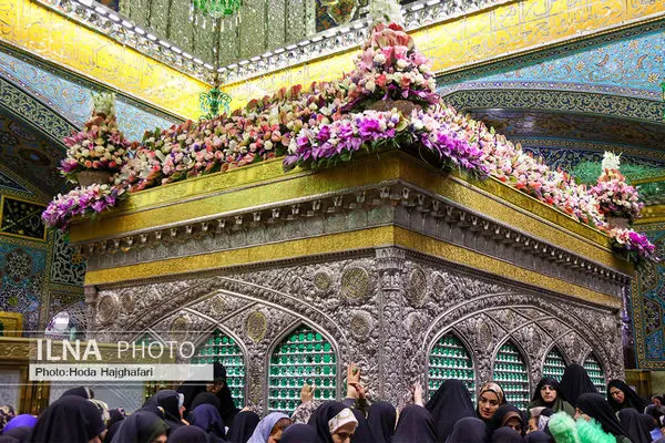 تعویض گل‌های ضریح حضرت امام رضا (ع)