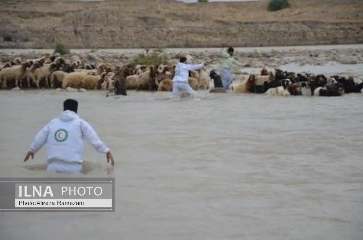 نجات دو چوپان و 400راس گوسفند گرفتار در سیل