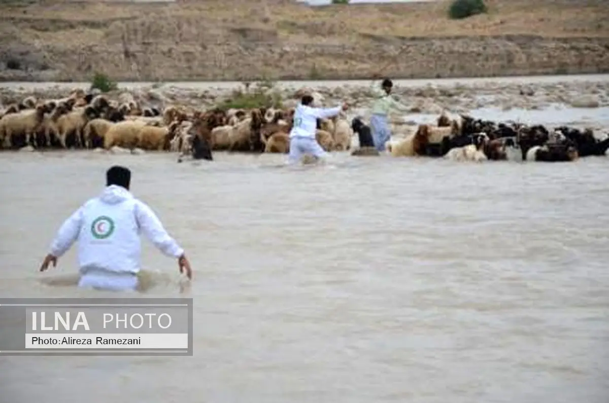 نجات دو چوپان و 400راس گوسفند گرفتار در سیل