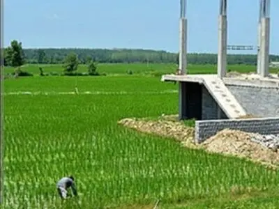  مشکل کشاورزان دشتستانی در زمینه نوبت‌بندی آب مزارع رفع شود