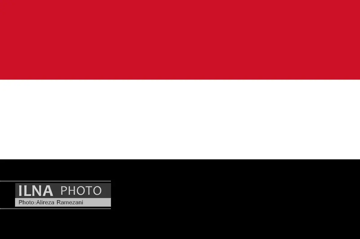 نمایندگان انصارالله و متحدانش وارد ژنو شدند