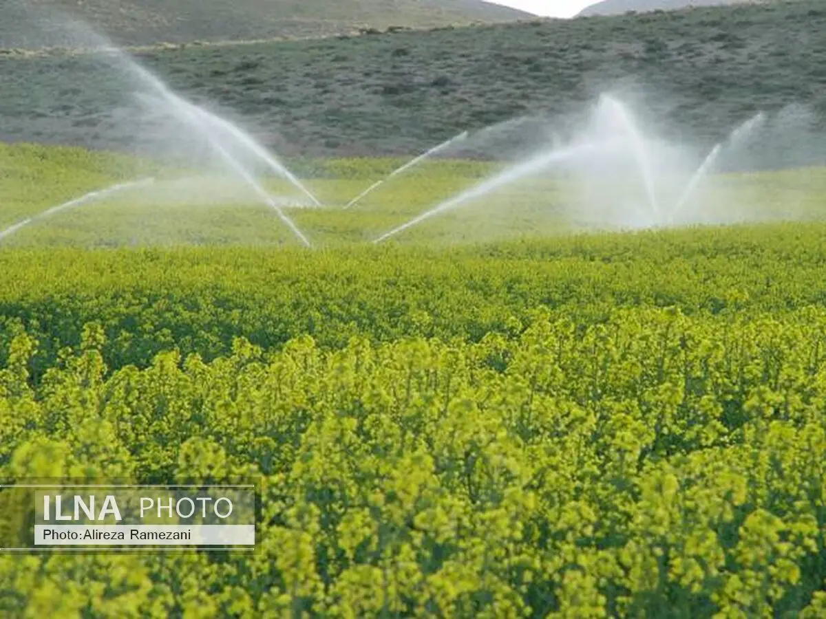 بسیج سازندگی بر آموزش  آبیاری قطره‌ای تمرکز کرده است