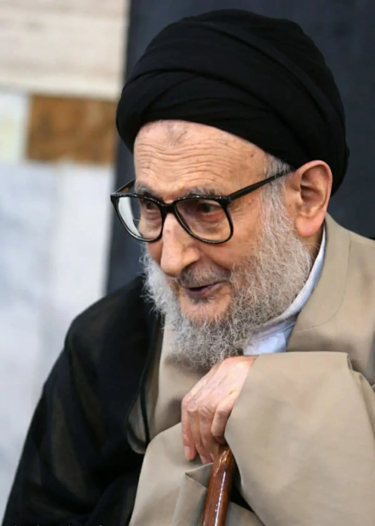 آیت‌الله ضیاء‎آبادی درگذشت