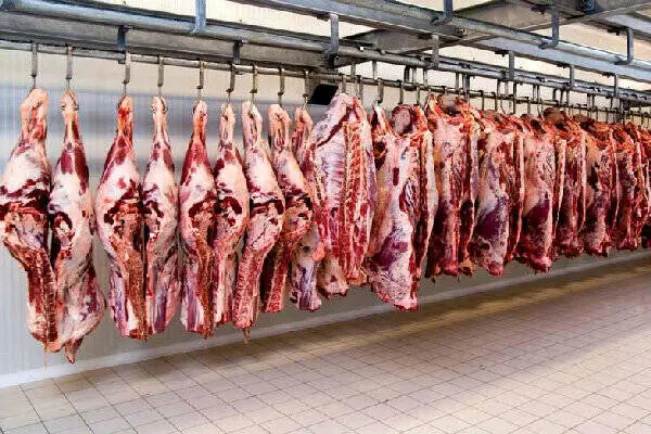  بازار گوشت روزهای آرامی را سپری می‌کند/ کمبودی برای تأمین گوشت  نداریم