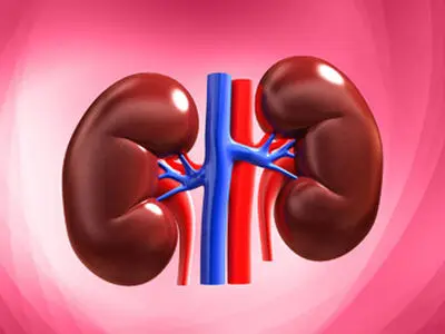بلای جان کلیه ها را بشناسید