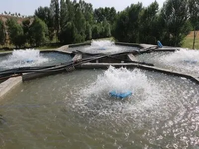  افتتاح فاز نخست مزرعه پرورش ماهی در روستای اندرآب سرعین با ظرفیت ۱۰ تن