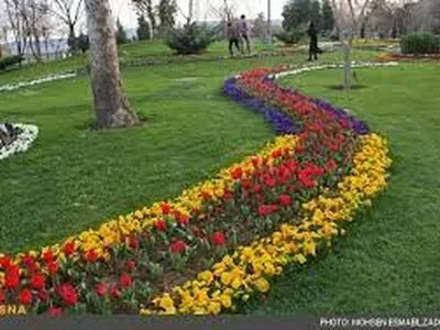 نگهداری از فضای سبز و پارک‌ها نیازمند تعامل شهروندان است