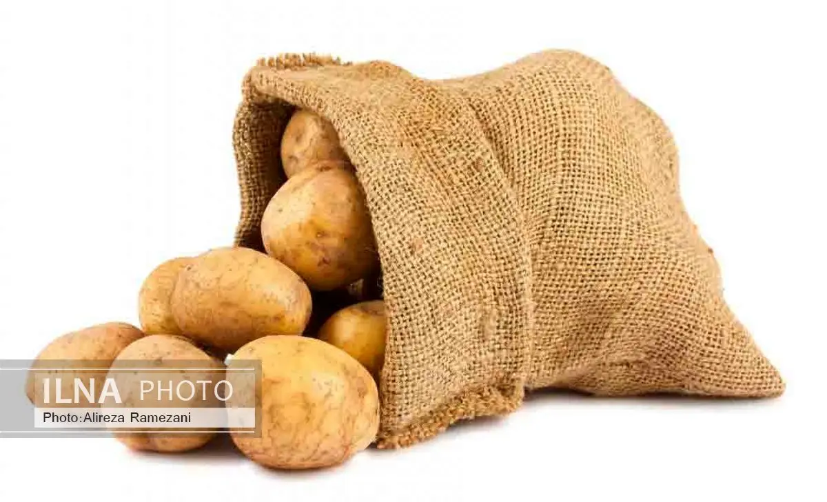 افزایش صادرات سیب زمینی علی رغم کمبود آب