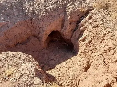 حفاران غیرمجاز در ایوانکی به دام افتادند