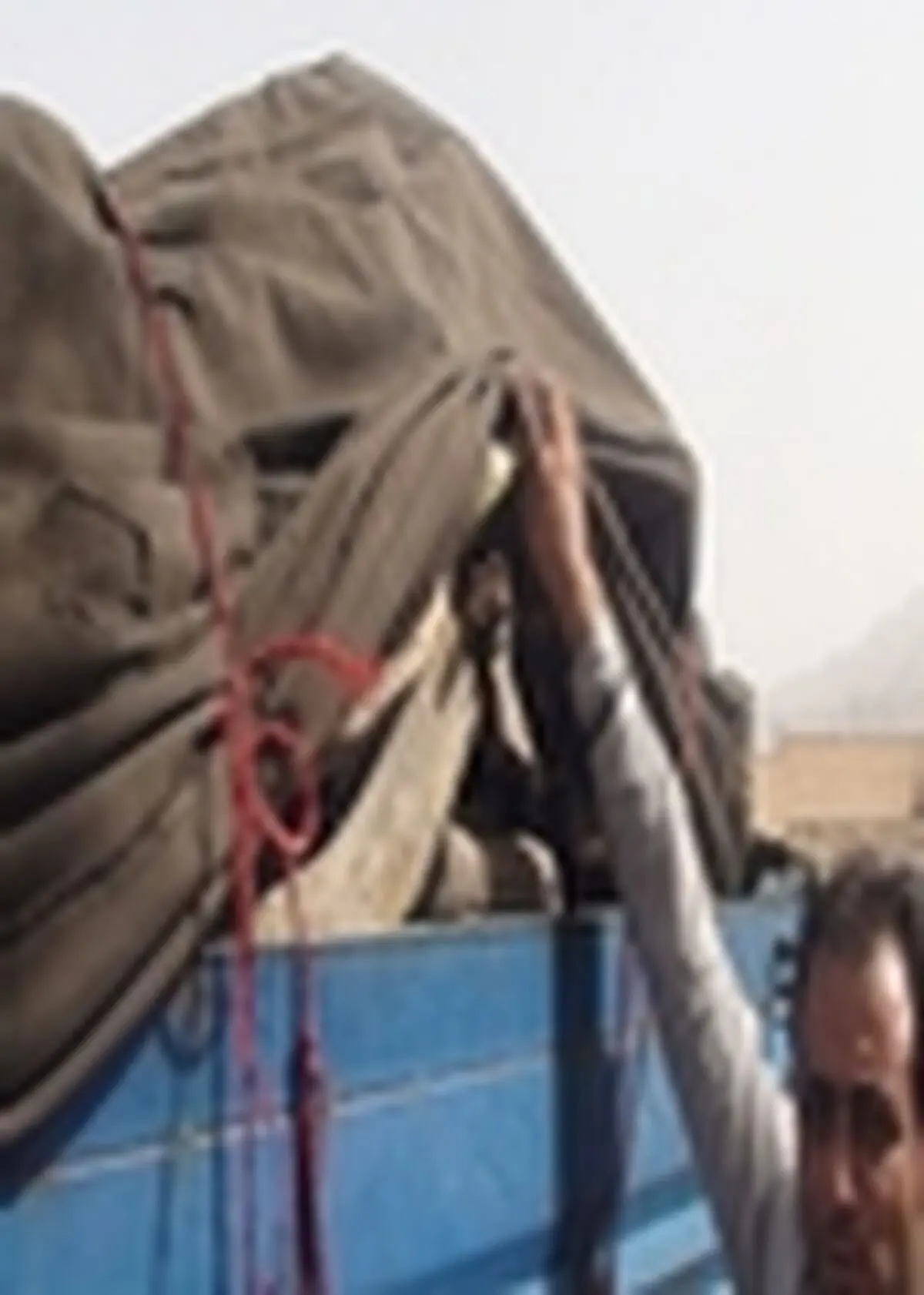 کشف و ضبط دو تن چوب قاچاق در آران و بیدگل