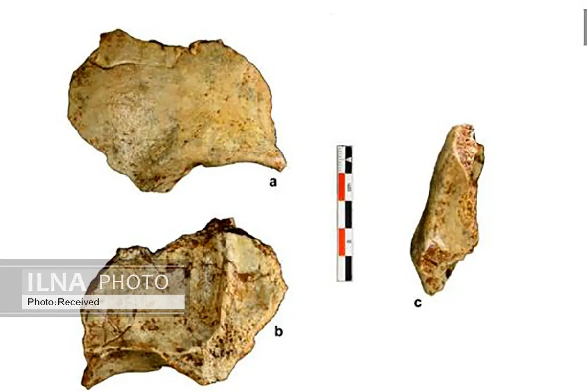 کشف استخوان‌های انسان خردمند ۸۶ هزارساله در یک غار