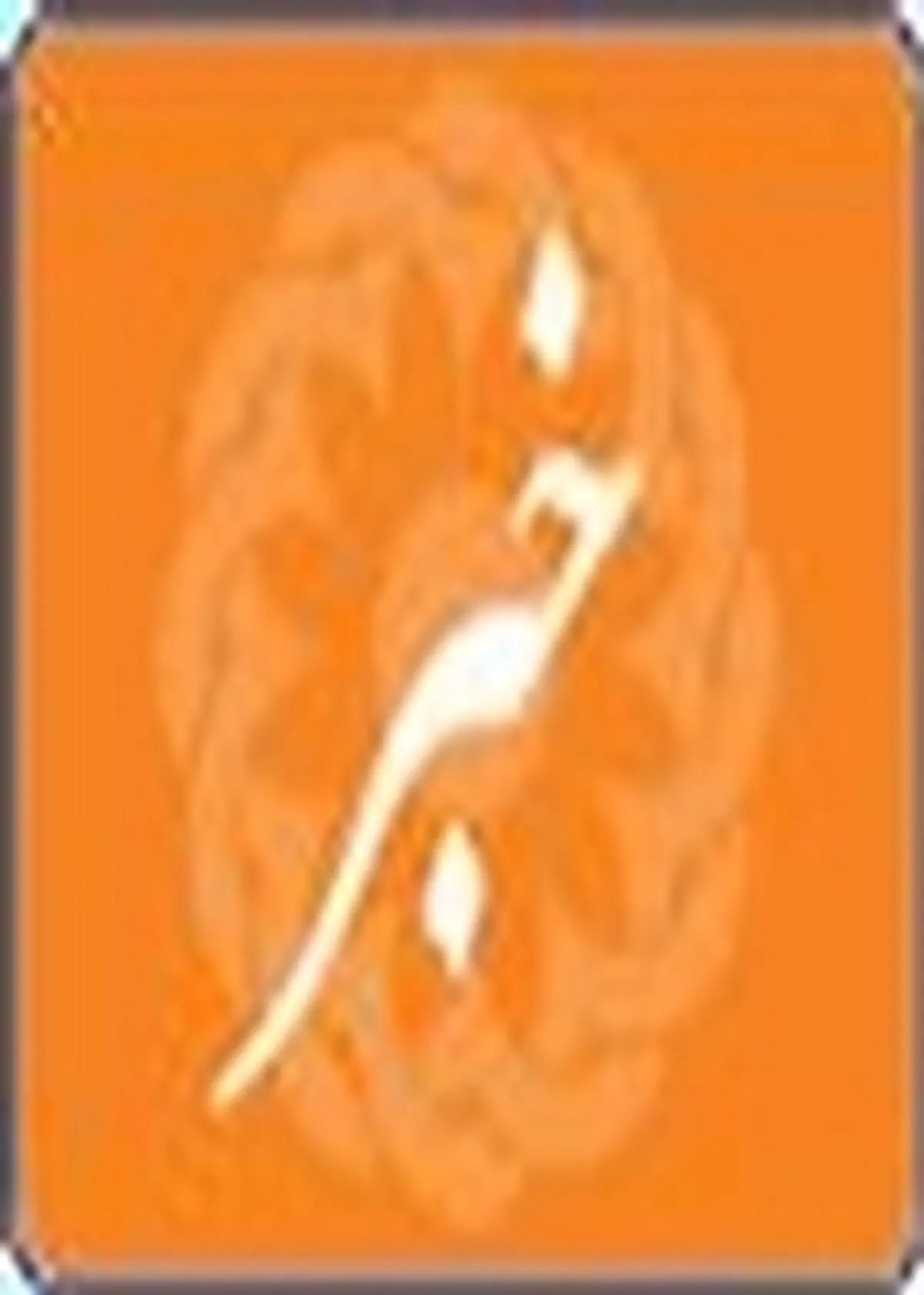 شناسایی ۱۶ هزار و ۶۶۰ معلول در استان زنجان