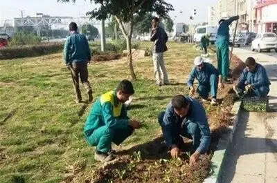 دغدغه‌های کارگران فضای سبز شهرداری «ایلام»: پیمانکاران فقط استثمار می‌کنند!