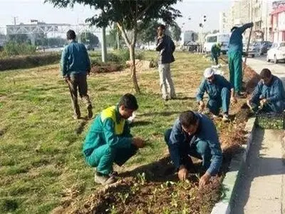 دغدغه‌های کارگران فضای سبز شهرداری «ایلام»: پیمانکاران فقط استثمار می‌کنند!