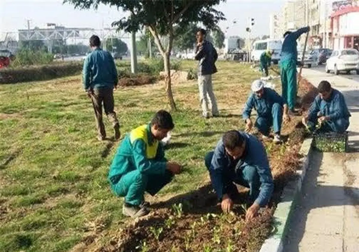 دغدغه‌های کارگران فضای سبز شهرداری «ایلام»: پیمانکاران فقط استثمار می‌کنند!