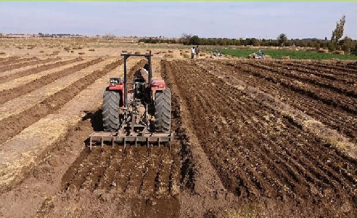 کاهش ۳۰ درصدی سطح زیر کشت گندم در خوشاب