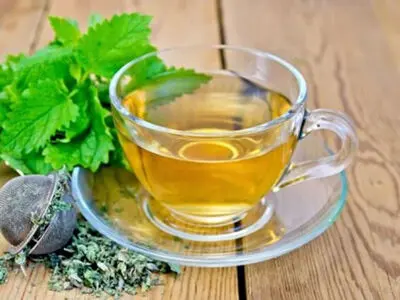 مهم ترین گیاهانی که بی اشتهایی را برطرف می کنند