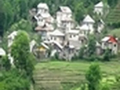 عزم جدی دستگاه قضایی در برخورد با تغییر کاربری و تفکیک غیرمجاز زمین‌های کشاورزی