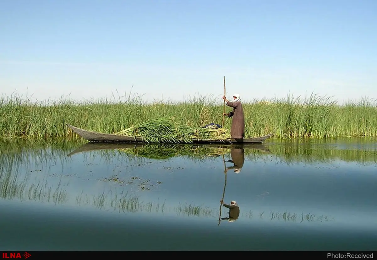 ۸۵ درصد تالاب هویزه در خوزستان پرآب شد