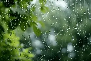 پیش بینی بارش‌های پراکنده در شمال و شمال غرب