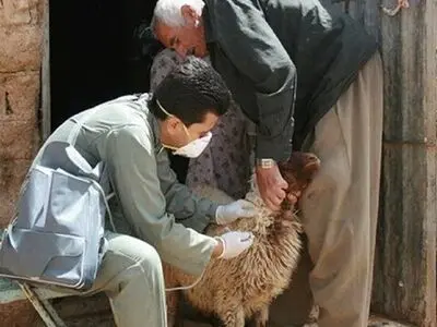 «کاروان سلامت دام» در استان سمنان آغاز به کار کرد