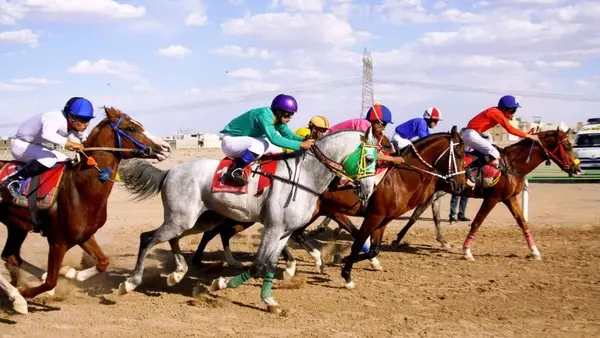 معرفی برترین های هفته دوم مسابقات سراسری  اسبدوانی به میزبانی استان یزد