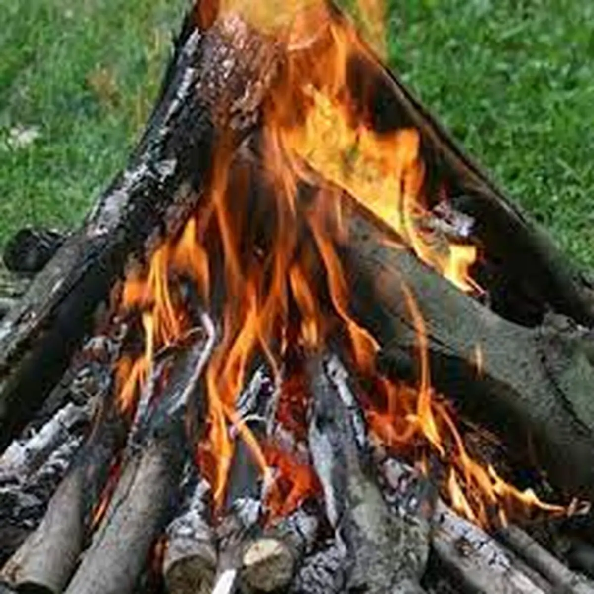 با استفاده از دو قوطی در طبیعت آتش روشن کن+فیلم