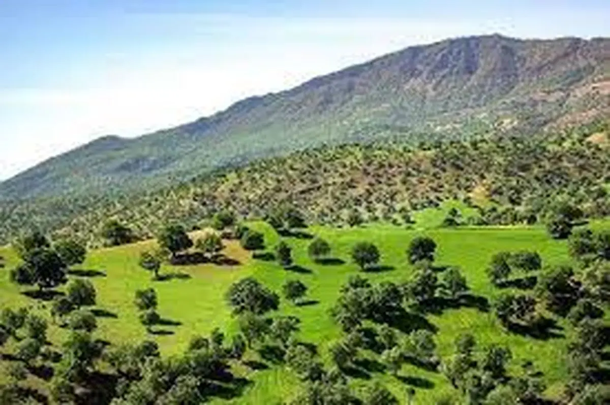 ۴۶۰ هزار هکتار عرصه طبیعی استان تحت مدیریت و حفاظت است