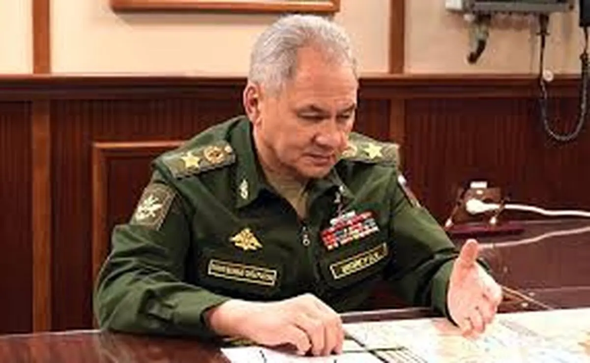 سرگئی شویگو وارد قاهره شد