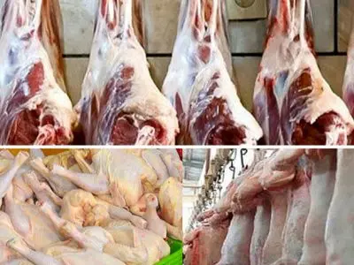 توقیف 1800 کیلوگرم مرغ منجمد و گوشت قرمز بدون مجوز در شهرستان اراک