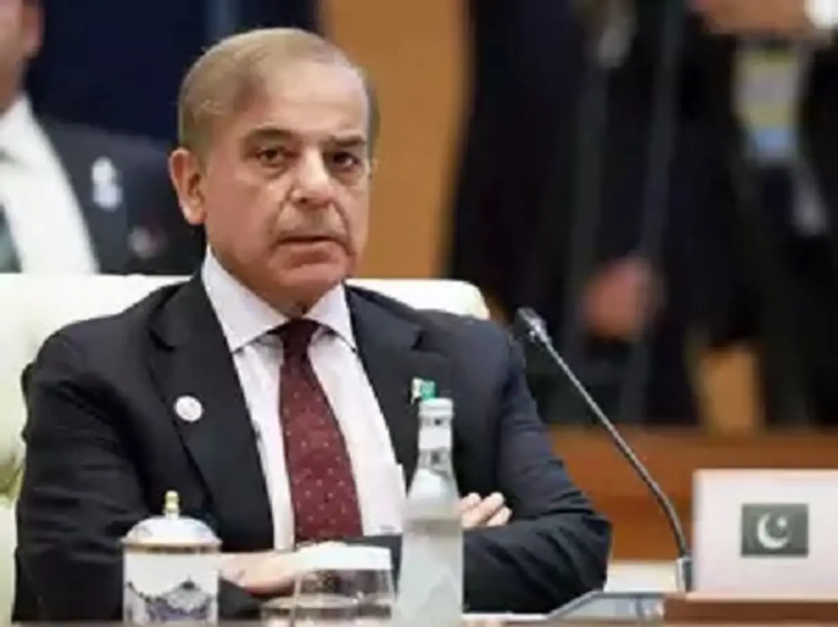 شهباز شریف خواستار گفت‌وگو با هند شد